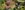 Drone-Image-1200x600--aspect-ratio-250-100