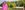 Verity-Milligan-aspect-ratio-250-100