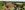 Drone-View-scaled-aspect-ratio-250-100