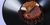 Chocolate | Chicory | Mushroom