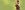 Earnest-no-title-aspect-ratio-250-100